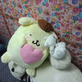 Gấu đáng yêu