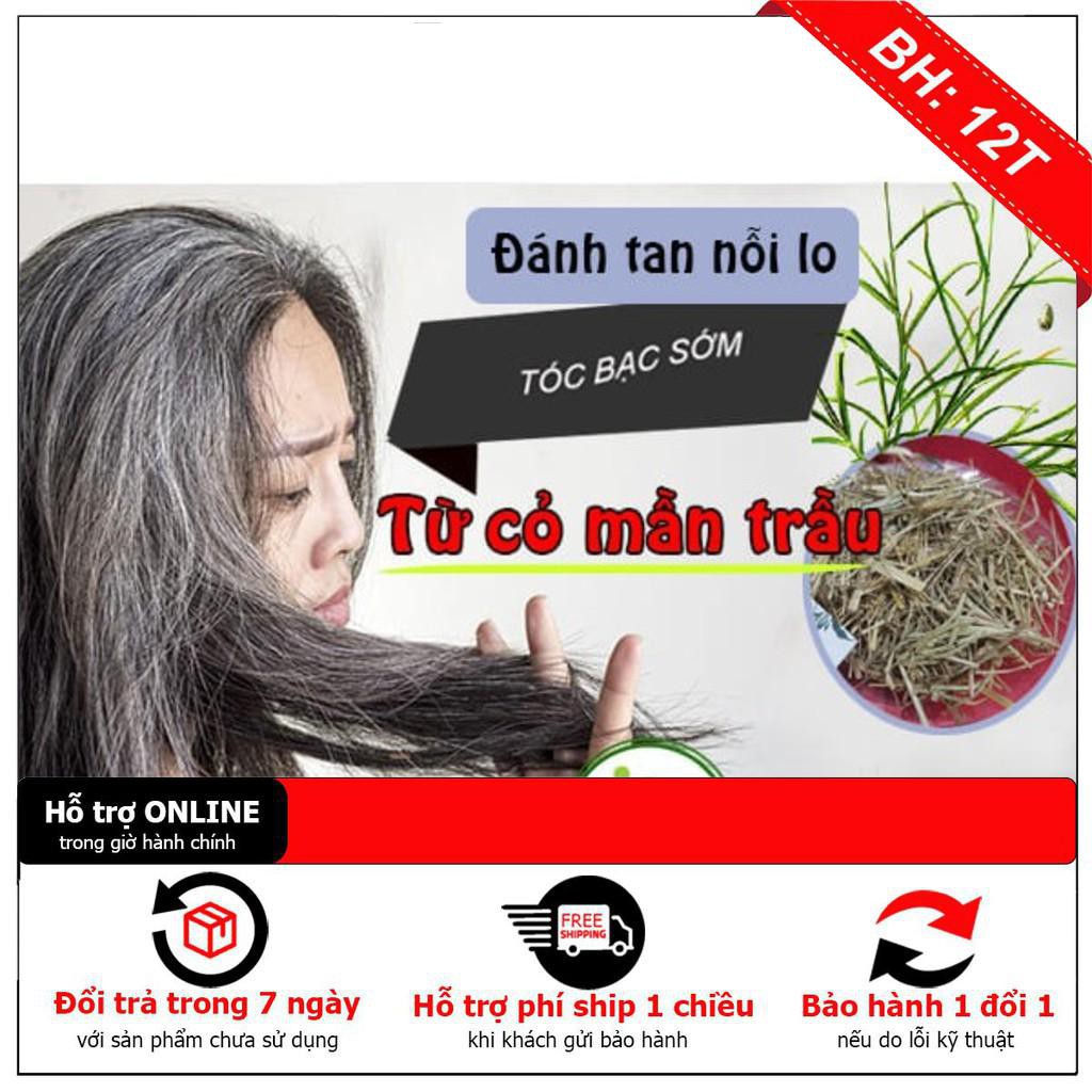 Cỏ Mần Trầu 100g - Loại 1 Thu Hái Tự Nhiên - Thảo Dược Thanh Bình