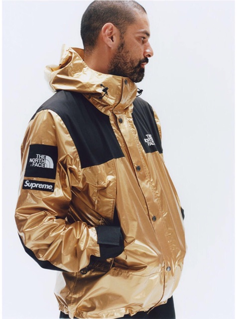 Jacket Supreme x The North Face Metallic Moutain Parka ss18