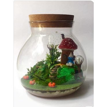 combo hủ tiểu cảnh quà tặng trang trí