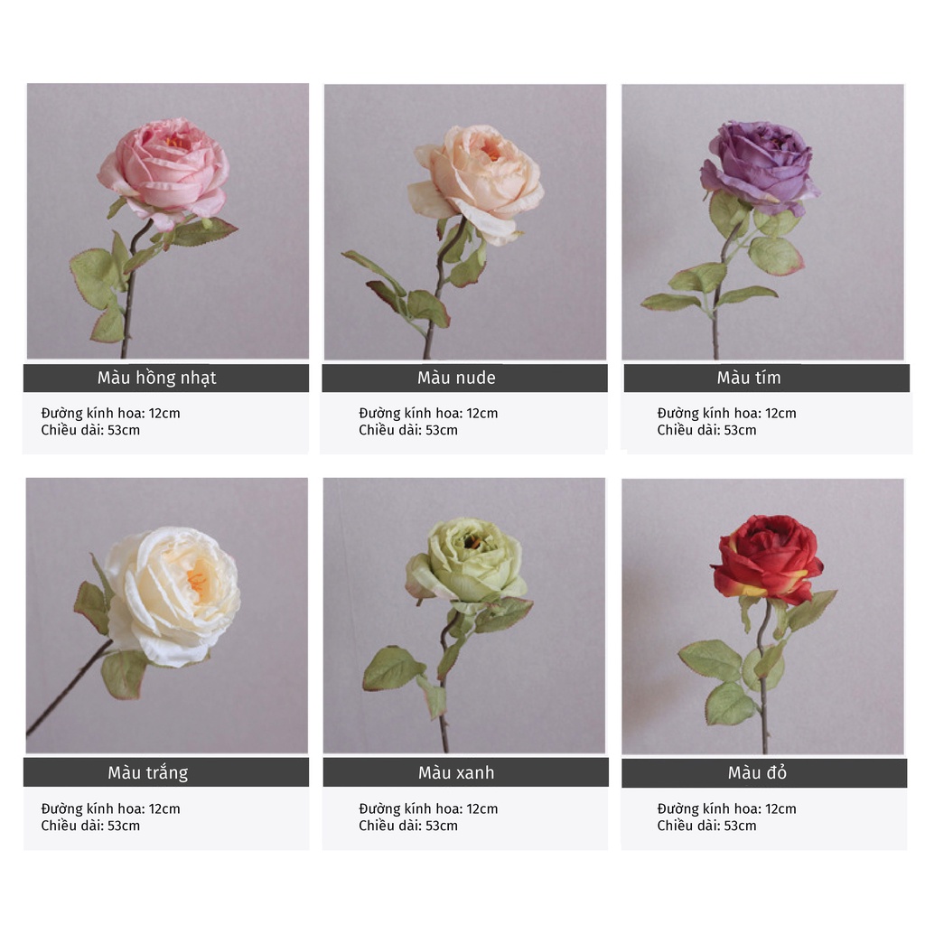 Hoa giả - Hoa hồng gió bông to 12cm trang trí nhà siêu đẹp - Han decor - Flower & Gift