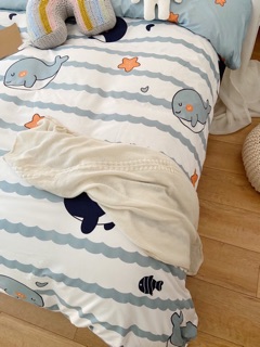 Chăn ga gối cotton poly - set 4 món