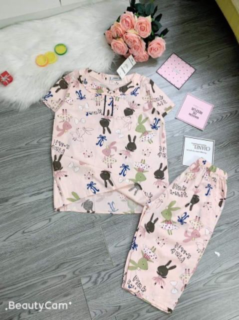 Bộ lửng cổ sen thô Thái