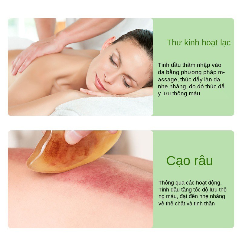 Massage body Dedeweifu, tinh dầu ngải cứu, đẩy lùi cơ thể, đả thông kinh mạch, thẩm mỹ da mặt, mở lưng, cạo và