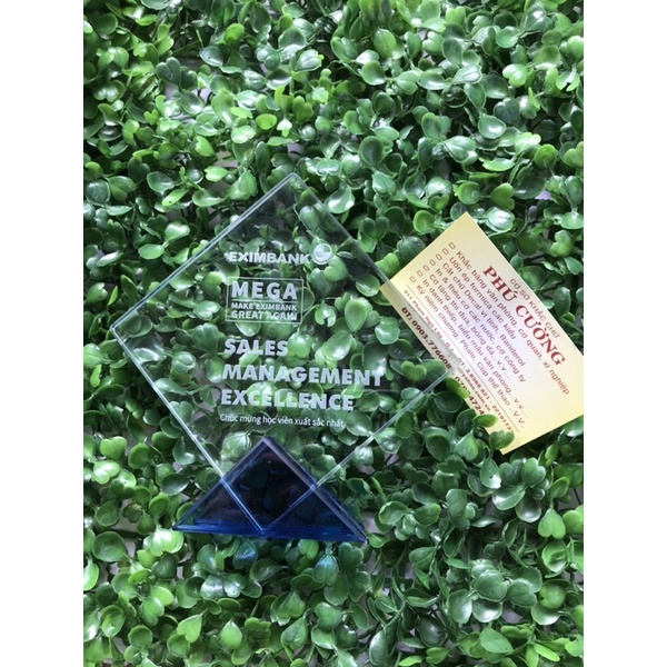 Kỷ niệm chương - Pha lê - Hình thoi