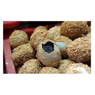TRỨNG BẮC THẢO ( 10 trứng )
