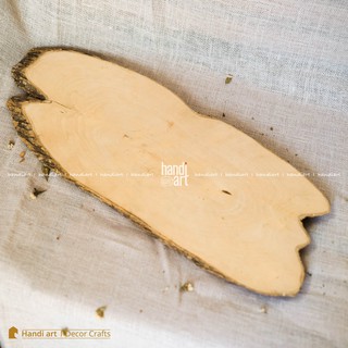 Gỗ cắt miếng trang trí - Gỗ cắt Decor