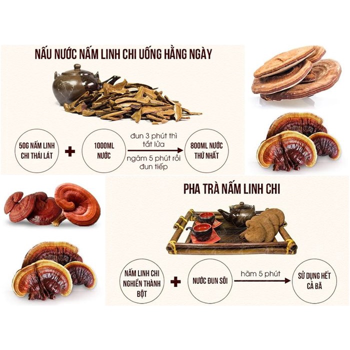 Bột Nấm Linh Chi Cao Cấp 100g