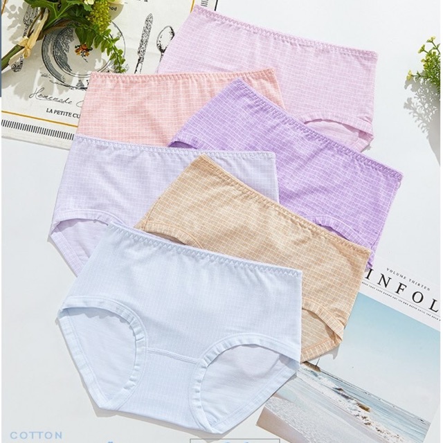 Quần chip coton loại 1
