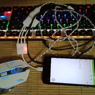[Đã test] Cáp OTG 2 cổng USB và 1 cổng micro USB