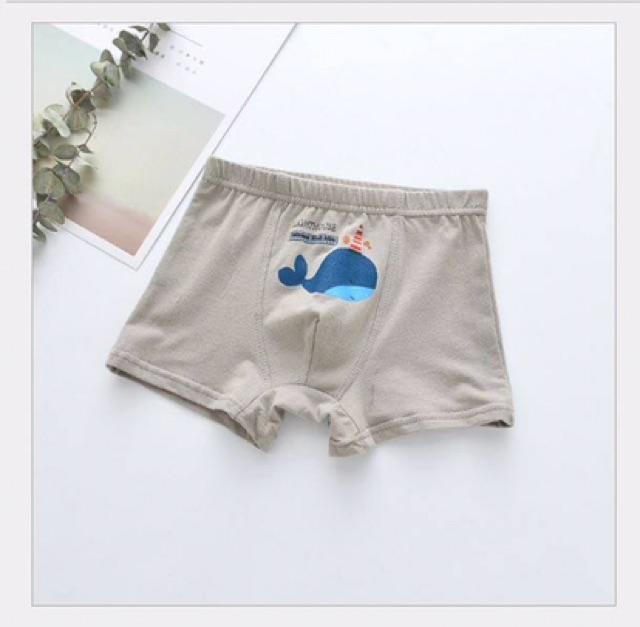 Set 5 quần chip bé Trai 10-50 kg