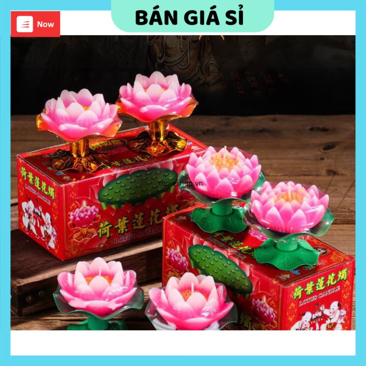 Nến hoa sen   GIÁ VỐN  Nến hình cho sen có đế đẹp mắt mang lại may mắn cho gia chủ - Nến trang trí 7160