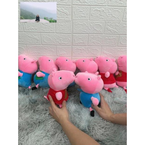 Gấu bông ,heo peppa đáng yêu nghộ nghĩnh 25cm