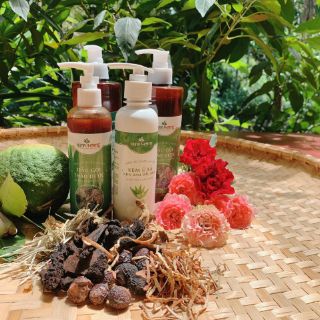 dầu gội thảo dược