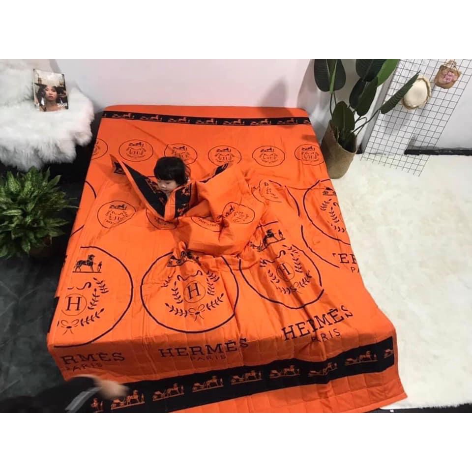 Ga trải giường poly cotton mẫu quả bơ