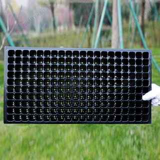 5 khay ươm hạt giống loại 200 lỗ hàng loại 1 - Ch11