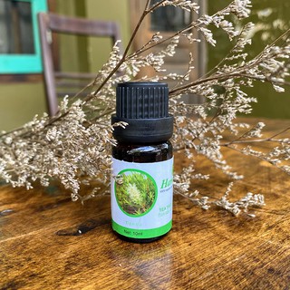 Tinh Dầu Tràm Trà Nguyên Chất 100% ( Tea Tree Oil ) - Tinh Dầu Tràm Trà Trị Mụn