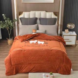 chăn lạc đà cao cấp 2mx2m2 4kg