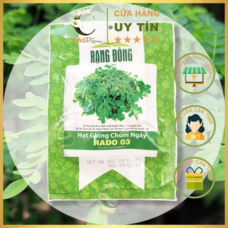 Hạt Giống Rau Chùm Ngây RADO 03 gói 2gr Dễ trồng