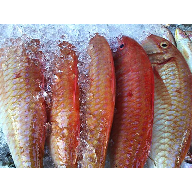 1kg CÁ ĐỔNG KHÔ XẺ ĐẶC SẢN ĐÀ NẴNG - thơm ngon ngất ngây