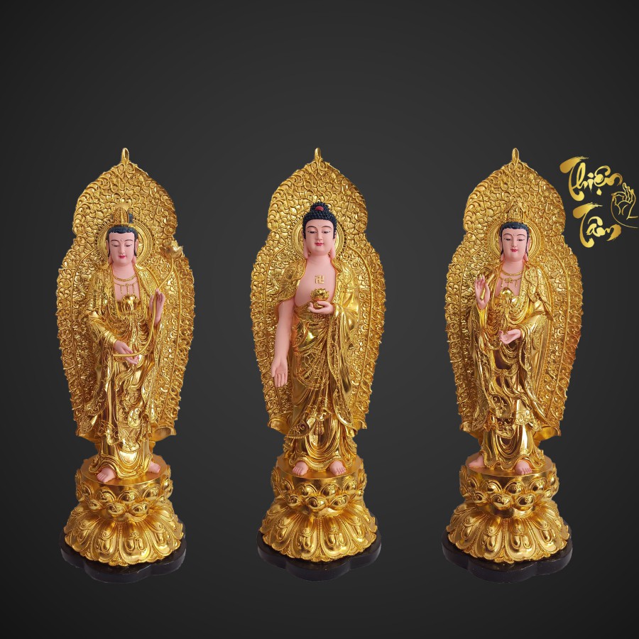 Tượng Phật A Di Đà cao 40cm – Đứng – Có Hào Quang – Màu Vàng (Mẫu Đài Loan) 020VD-PDD  - Tuong Phat A Di Da