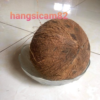 1 QỦA DỪA KHÔ NGUYÊN TRÁI >=900 GRAM.