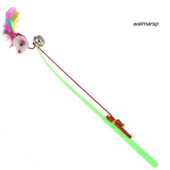 Gậy lò xo gắn lông vũ cho mèo