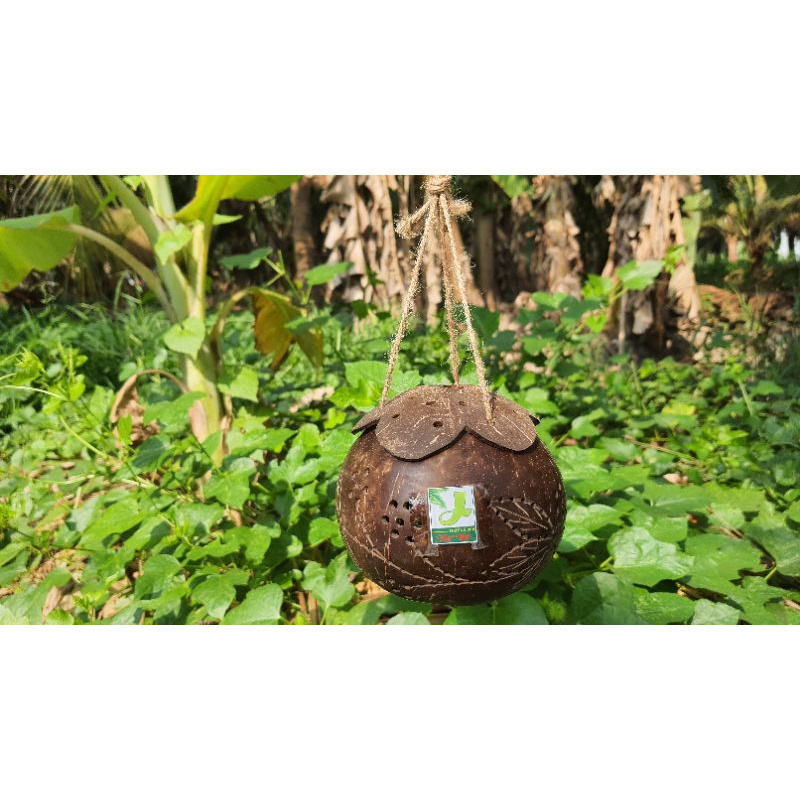 Lồng đèn trang trí/Lồng đèn bóng