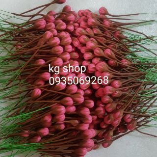 Nụ đào đậm(100 nụ) .Sản phẩm loại 1