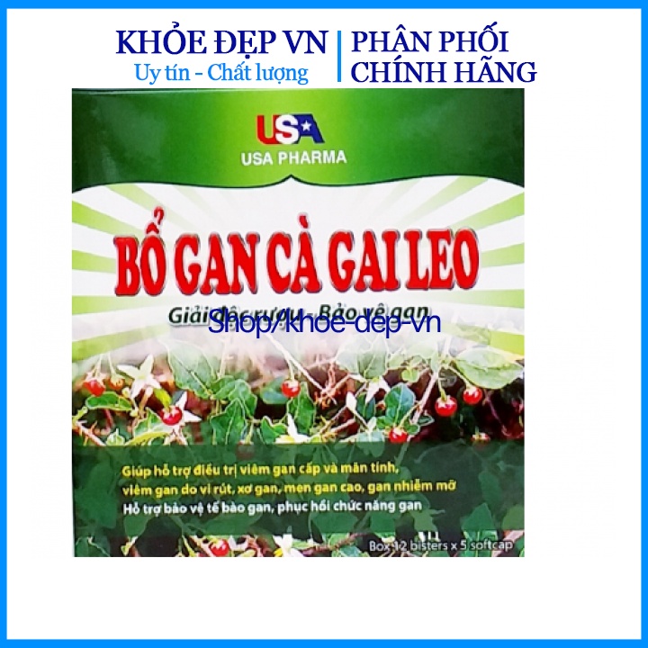 Chuẩn BYT - BỔ GAN CÀ GAI LEO,GIÚP MÁT GAN,LỢI MẬT (60 viên)