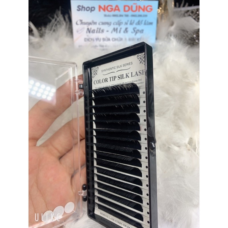 Mi color tip silk lash dày 0,10