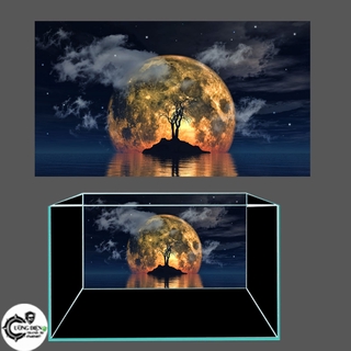 Tranh 3d dán hồ cá mẫu mã đa dạng có keo sẵn