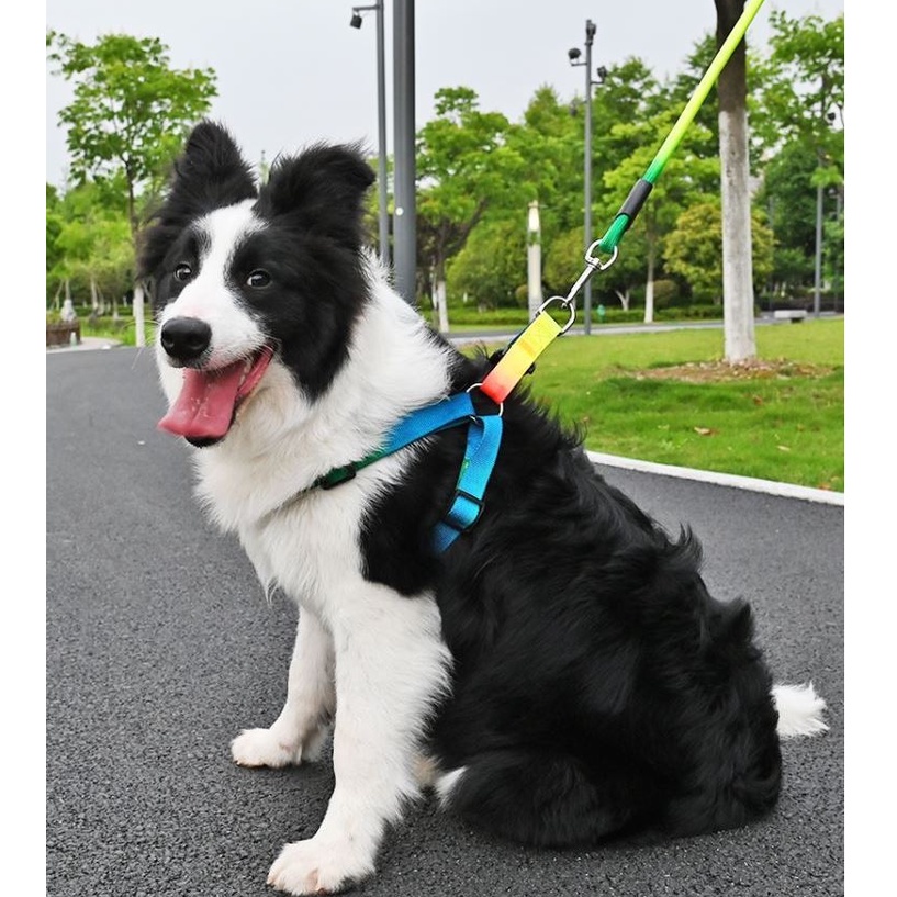 ĐAI YẾM CHO CHÓ (KHÔNG BAO GỒM DÂY DẮT) - LOVE PETS SHOP