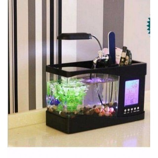 bể cá cảnh mini để bàn kèm tiểu cảnh
