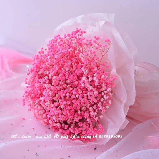 [Mã LIFEXANH03 giảm 10% đơn 500K] Bó Hoa Baby Khô decor - Hoa khô trang trí - Hoa khô rẻ - bền - đẹp