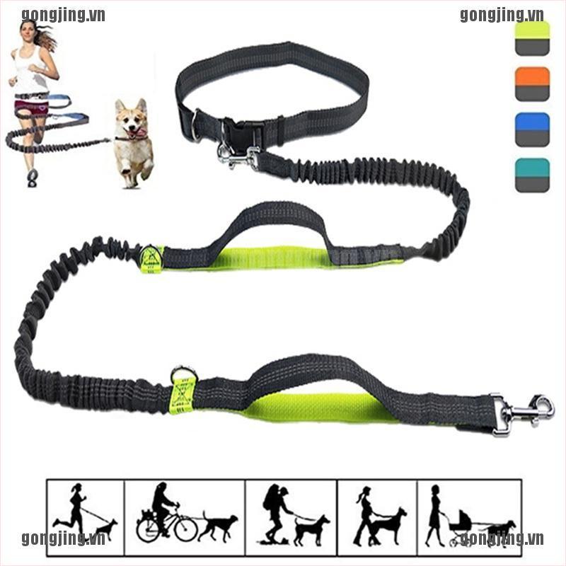 GONJ Pet Dog Running Belt Elastic Leash Traction Rope Jogging Pull Dog Leash