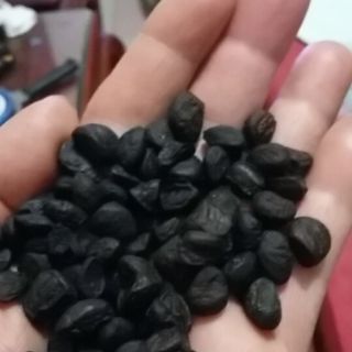 100g hạt dổi nếp loại 1.