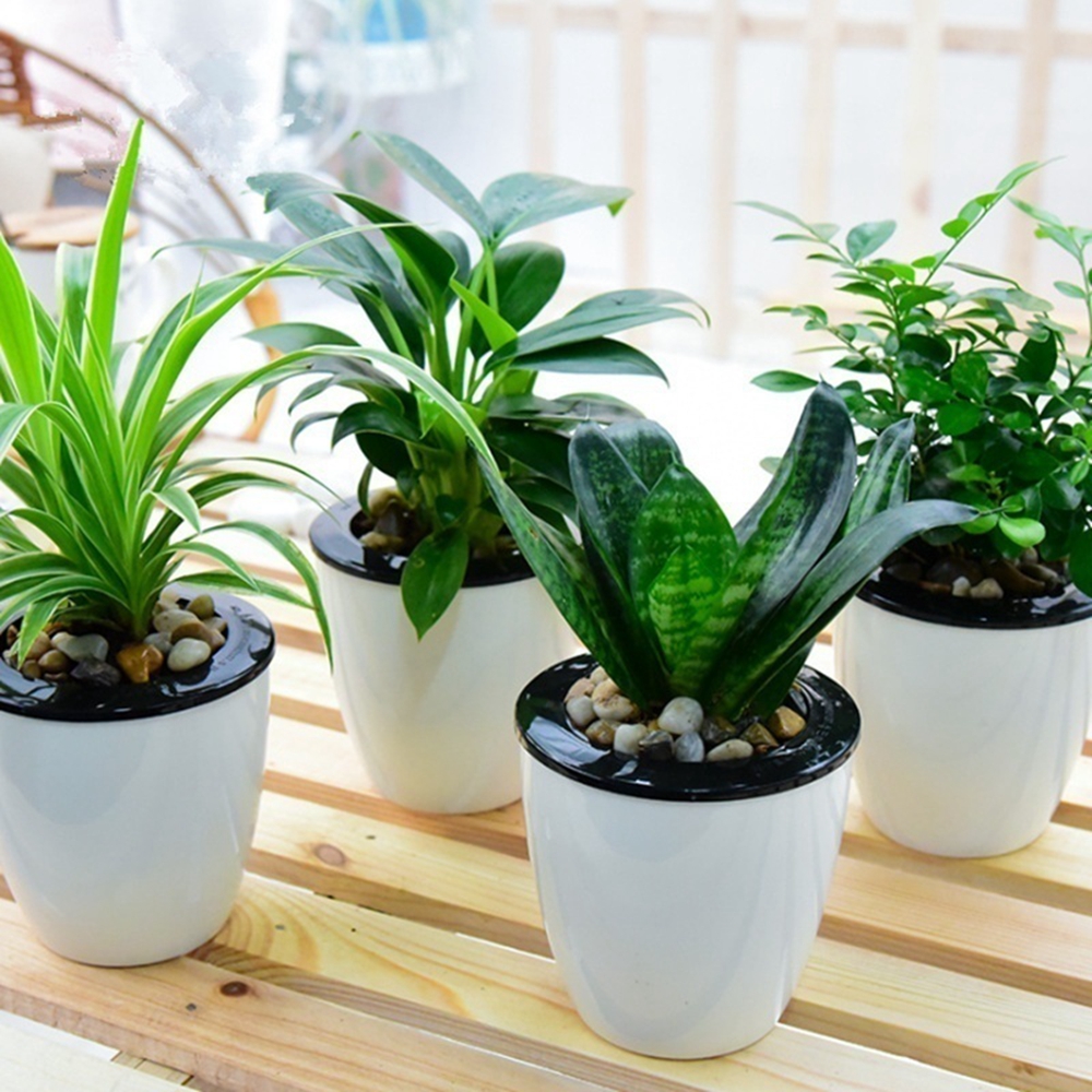 Chậu trồng cây bằng nhựa hình tròn với giỏ nhựa resin giữ nước tự động trang trí nhà cửa sân vườn