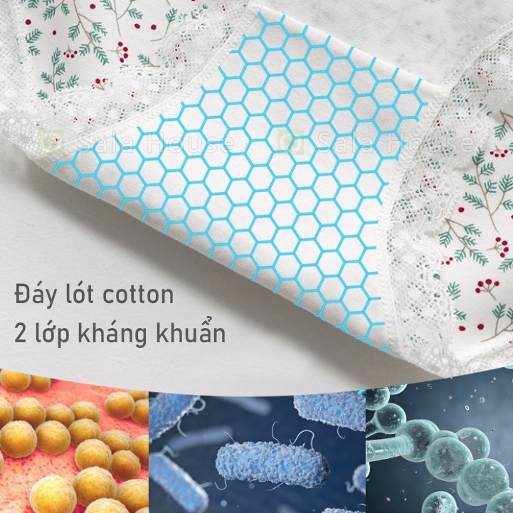 Quần lót bầu và sau sinh cạp chéo, viền ren cotton thoáng khí, đáy quần kháng khuẩn Mềm Mịn Cao Cấp Set 4 Chiếc
