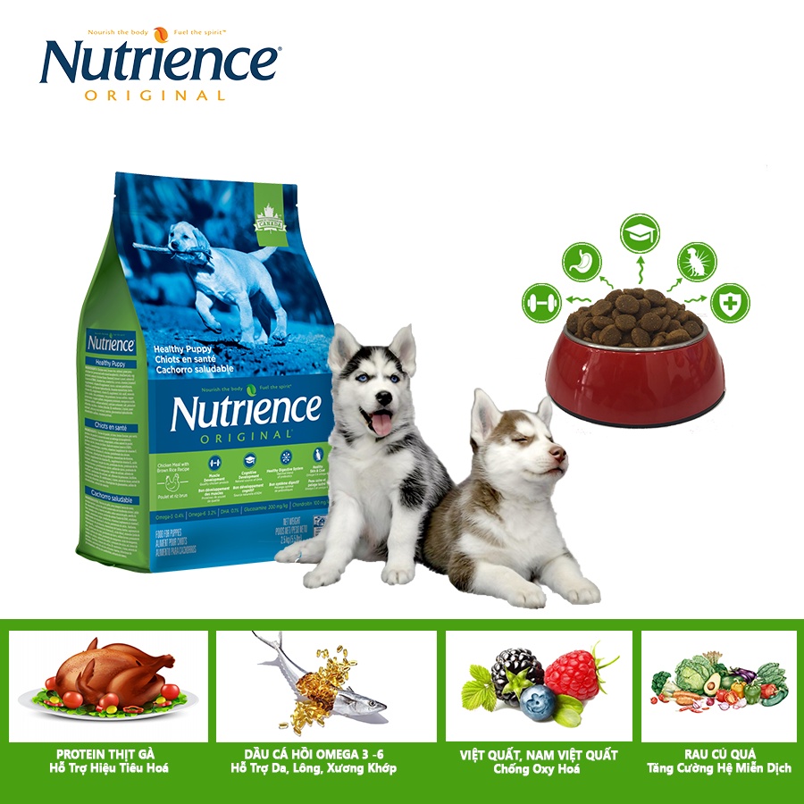 Thức Ăn Cho Chó Husky Con - Nutrience Original Bao 500g - Hỗ Trợ Trí Não, Cơ Khớp - Thịt Gà, Rau Củ & Trái Cây Tự Nhiên