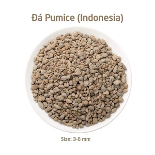 Sale rẻ 1kg Đá Pumice Perlite Vermiculite Peat Moss size nhỏ nhất