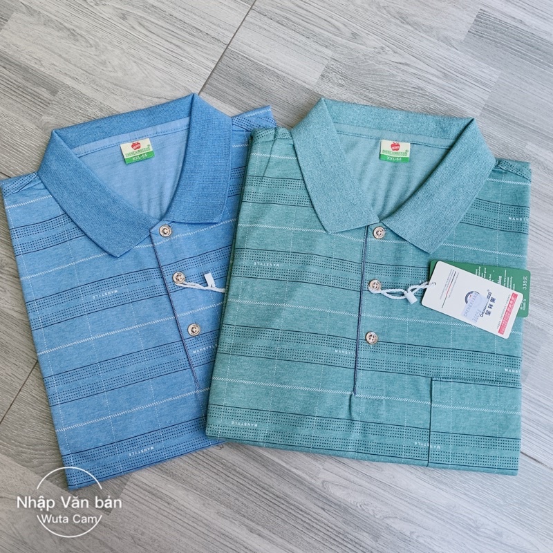 Áo thun cộc tay nam trung niên chất cực đẹp ảnh tự chụp | BigBuy360 - bigbuy360.vn