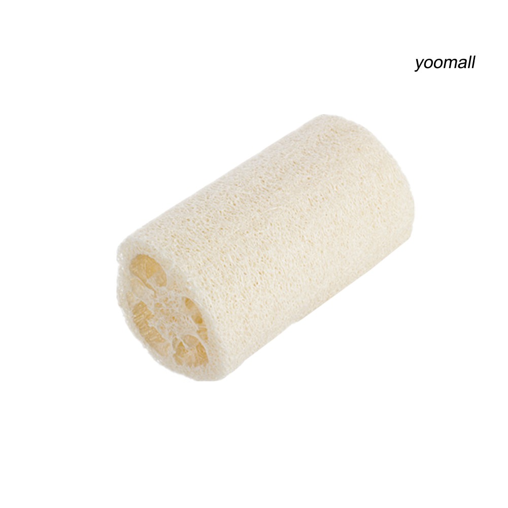 Bông xơ mướp tự nhiên tẩy tế bào chết tiện lợi