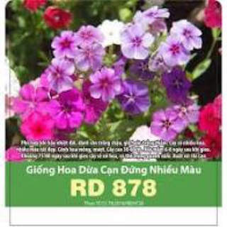Hạt giống dừa cạn đứng mix 878