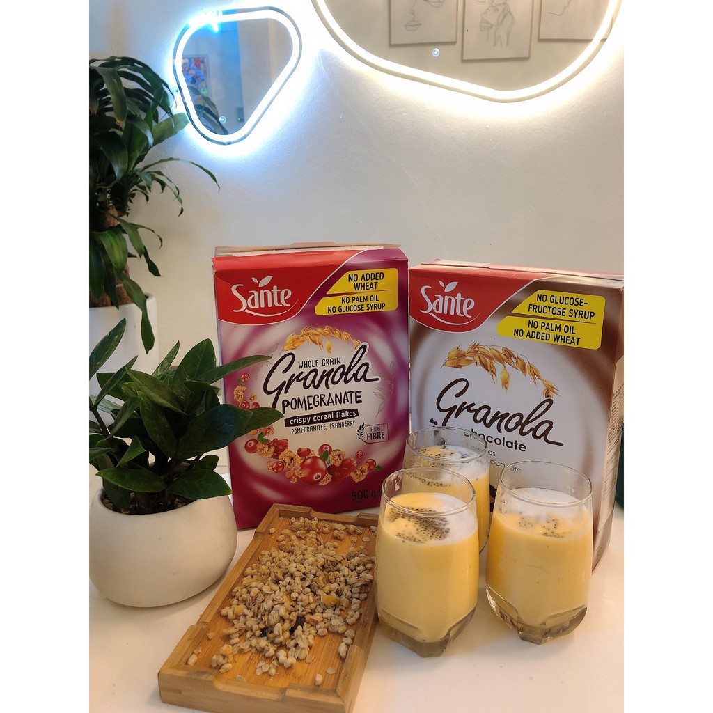 Yến mạch giảm cân, ngũ cốc ăn kiêng Granola Sante - trộn hoa quả sấy mật ong, hộp 500g