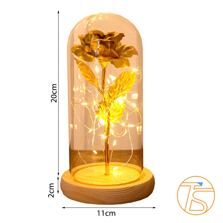 Hộp Quà Lọ Thủy Tinh Kèm Hoa Hồng 3D Sáng Đèn Led - Quà Tặng Bạn Gái, Sinh Nhật, Valentine 14/2 - Quốc Tế Phụ Nữ 8/3