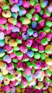 Trứng Hatchimals phiên bản sò ( COMBO sỉ  khách )