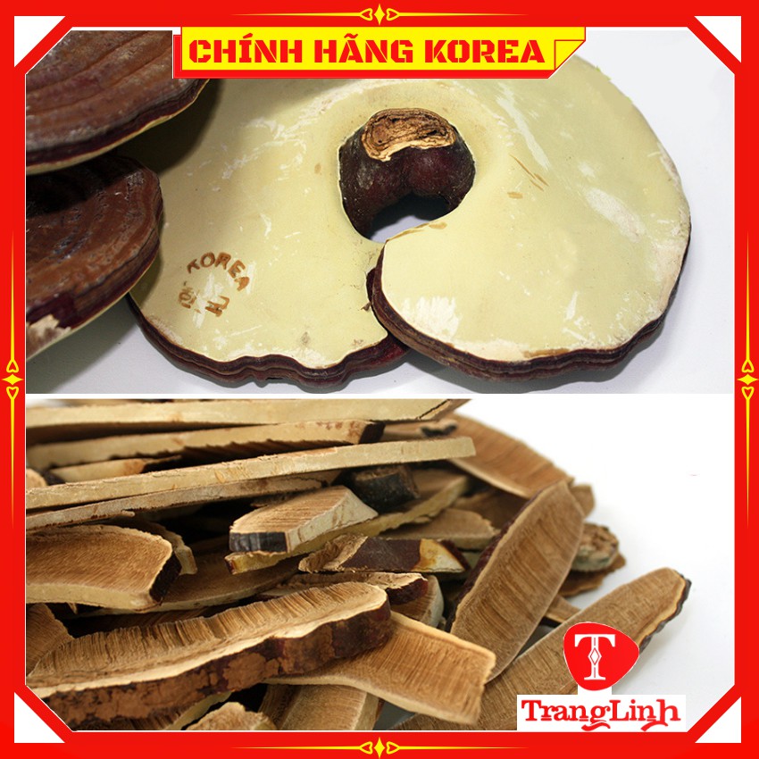 Nấm linh chi hàn quốc chính hãng - Nấm túi cam 1kg loại đặc biệt giúp thải độc, thanh lọc cơ thể - tranglinhkorea