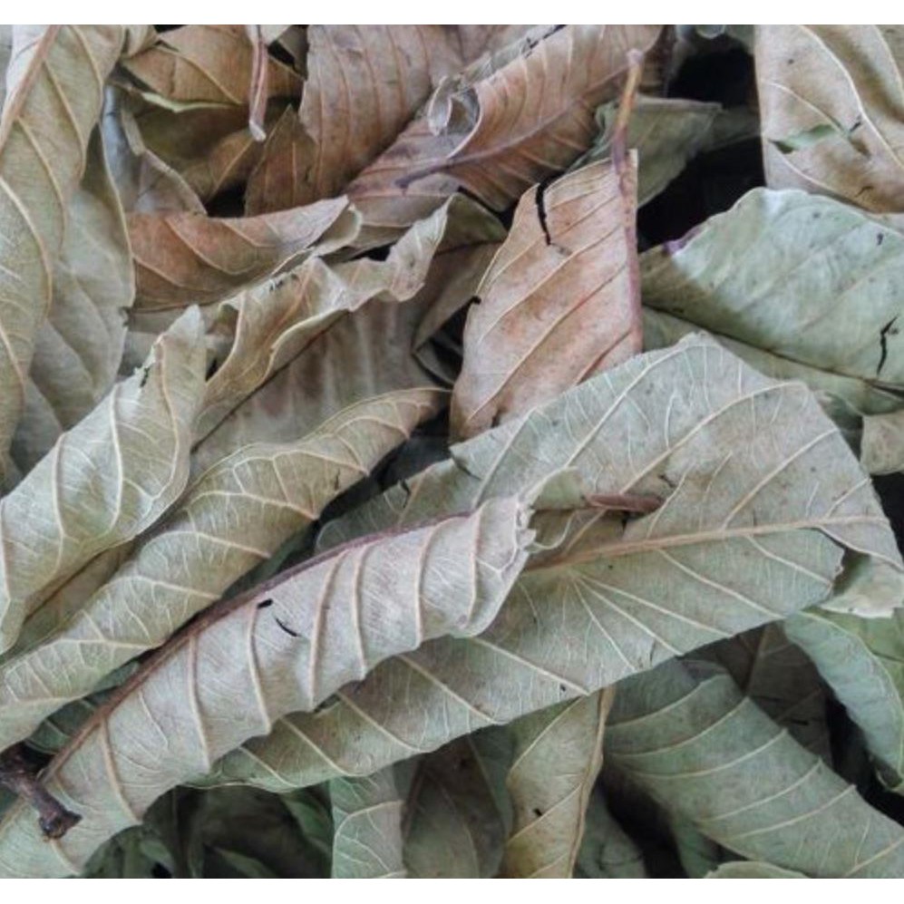 [Mã 267FMCGSALE giảm 8% đơn 500K] Trà Lá Ổi Khô giảm mỡ thừa, cholesterol và kiểm soát bệnh tiểu đường (500g) | BigBuy360 - bigbuy360.vn