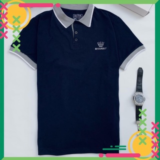 Áo phông polo nam , áo thun nam tay ngắn - felixshop -size m - l - xl